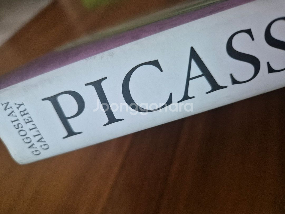 뉴욕 가고시안 갤러리 피카소 도록--2