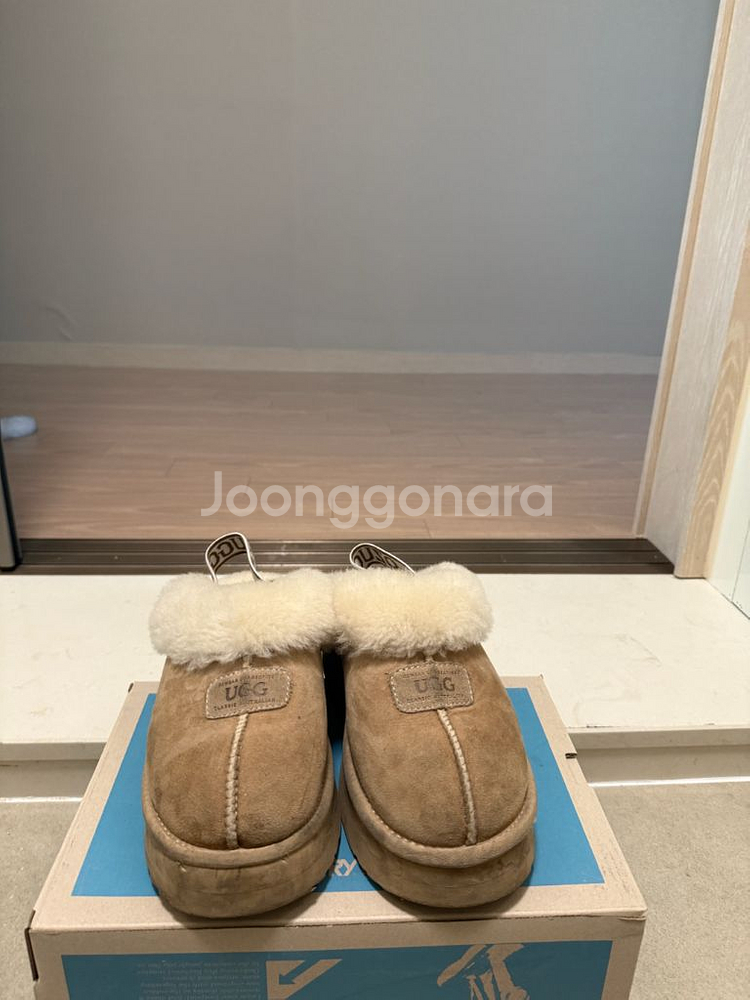 UGG 245--0
