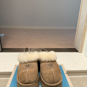 UGG 245