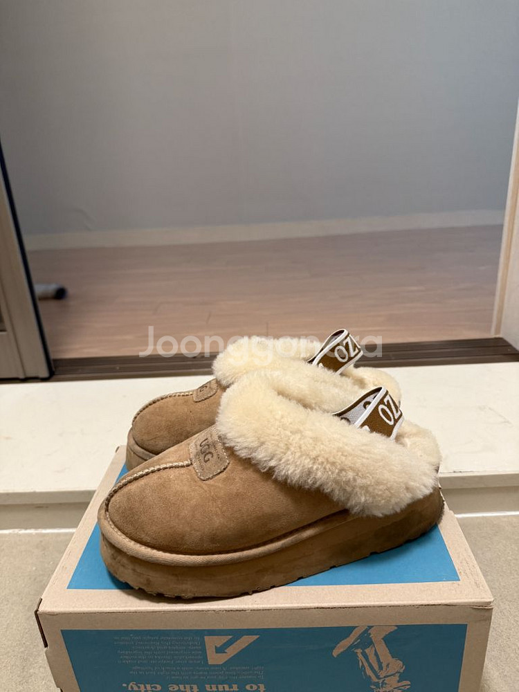 UGG 245--1