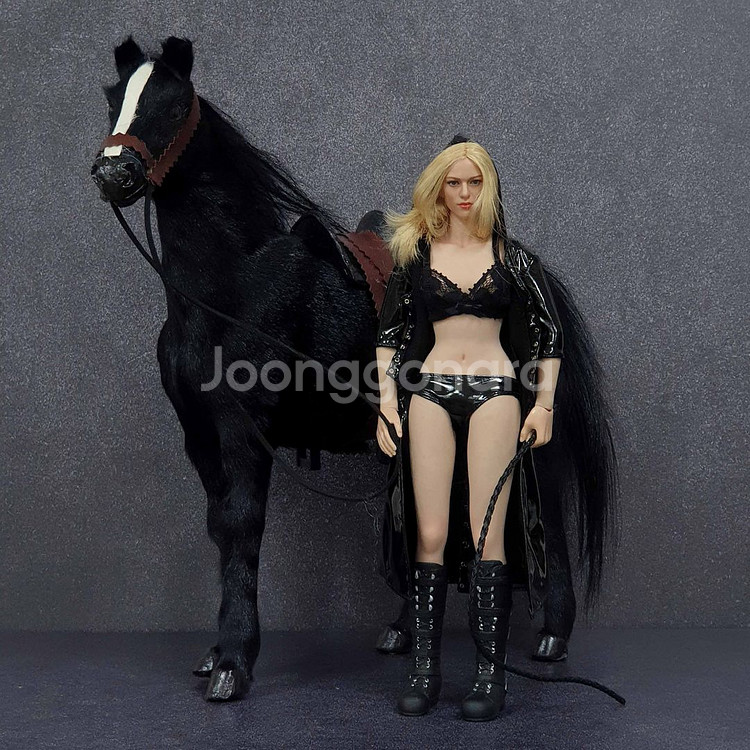 여성 말조련사 커스텀+흑마 12인치 피규어(핫토이x)--0