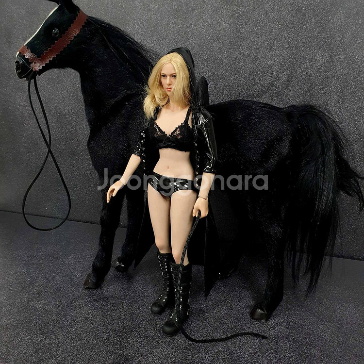 여성 말조련사 커스텀+흑마 12인치 피규어(핫토이x)--1