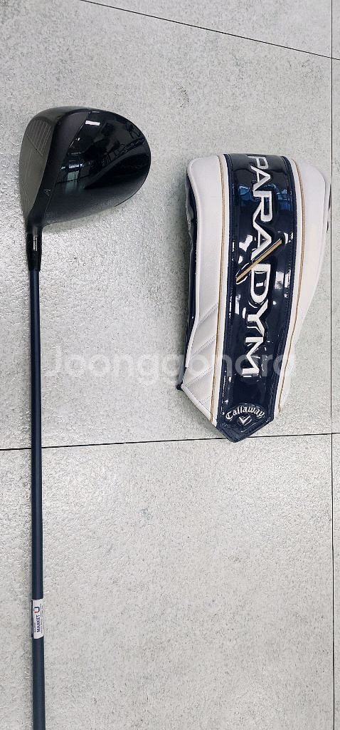 갤러웨이 패러다임 드라이버--8