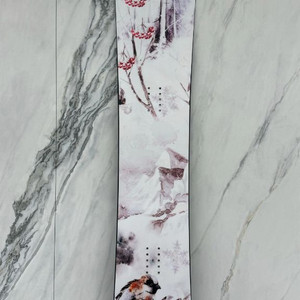 2425 ATZ 데크 162 LINE 카본 팝니다.