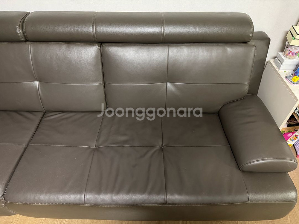 가죽 소파--3