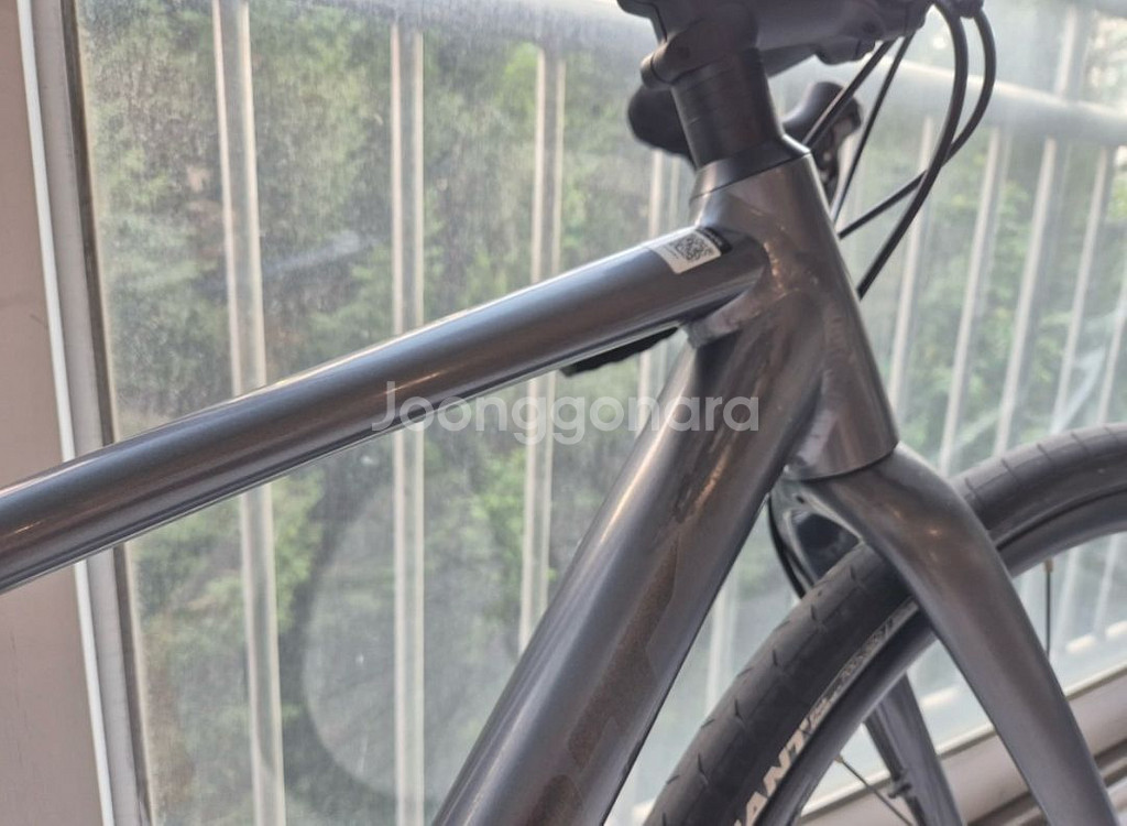 자이언트 로드자전거--2