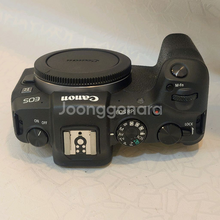 캐논정품 EOS RP+RF50 점팔 STM--6