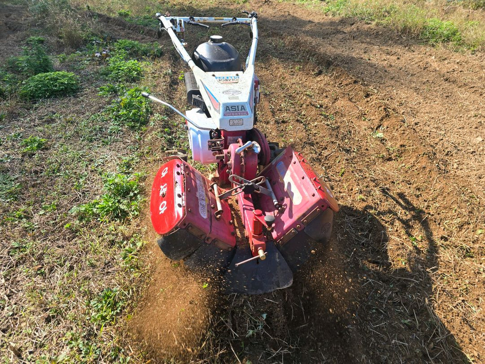 아세아 관리기 키싣동--5