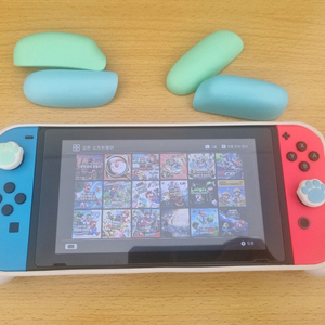 닌텐도스위치 게임설치 19개 + 스컬앤코 케이스