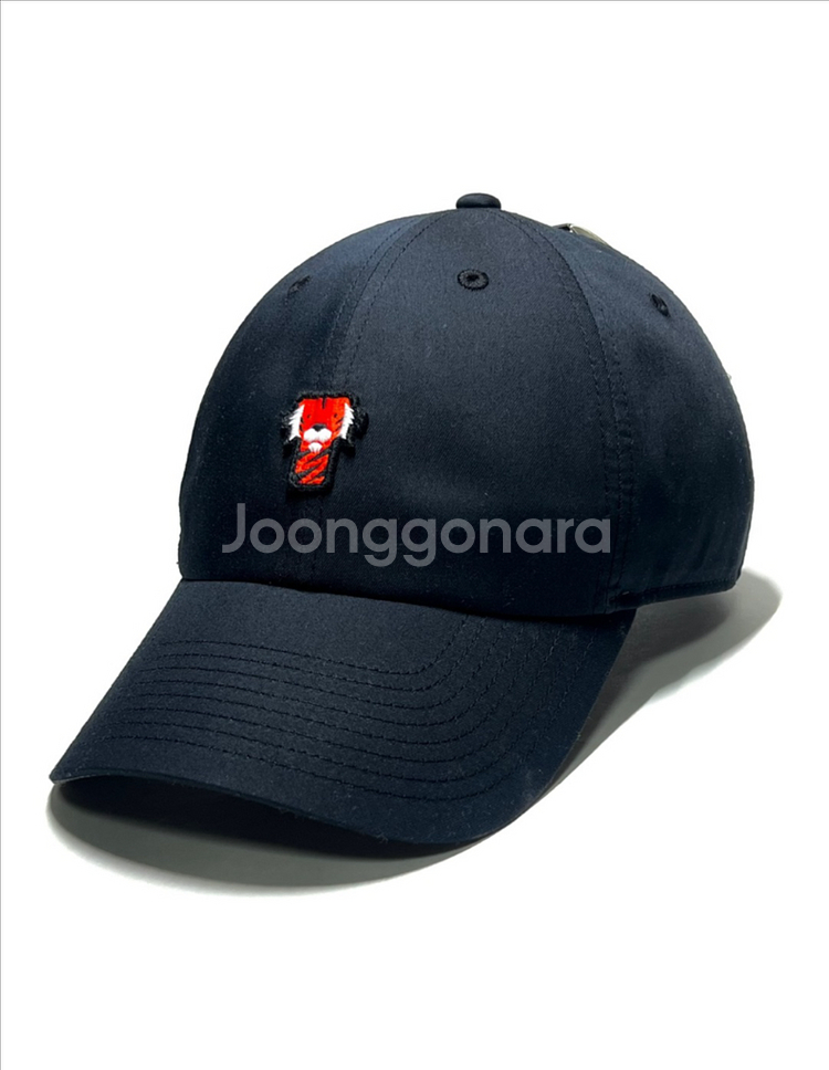 나이키 새제품 미국 한정판 타이거우즈 골프 나일론 모자--0