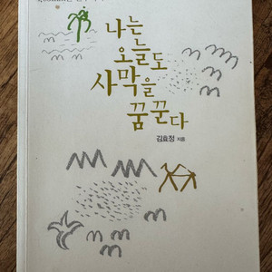 나는 오늘도 사막을 꿈꾼다 - 김효정