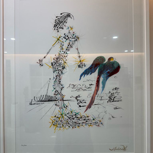 Salvador Dali 살바도르 달리 판화 보증서유