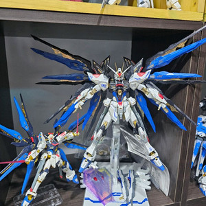 [건담] MG RG 스트라이크 프리덤 건담 조립 2종