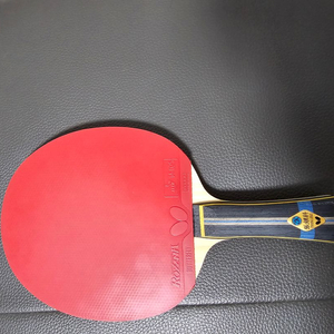 버터플라이 장지커 ALC + 로제나 러버 라켓 판매