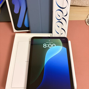 아이패드 미니 7세대 256기가 스그 와이파이+애팬프로