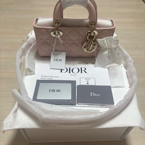 디올 디조이 스몰백(새제품)