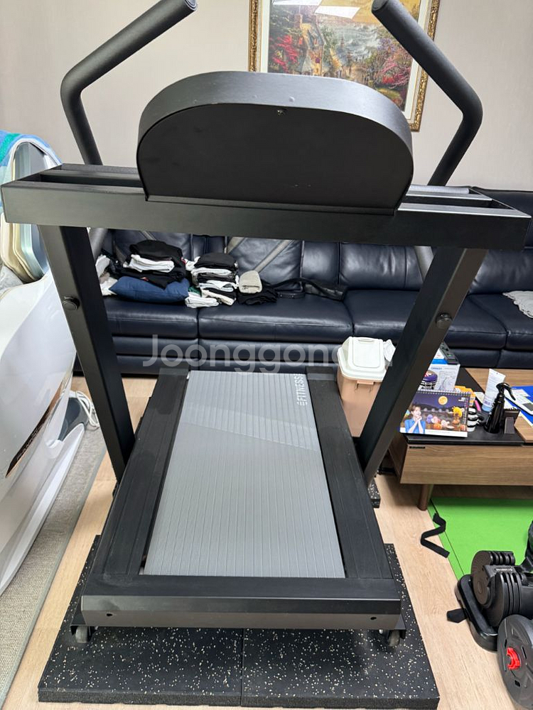 런웨이 200 런닝머신 (마이마운틴)--5