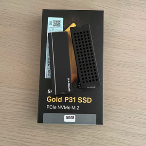 p31 골드 500기가
