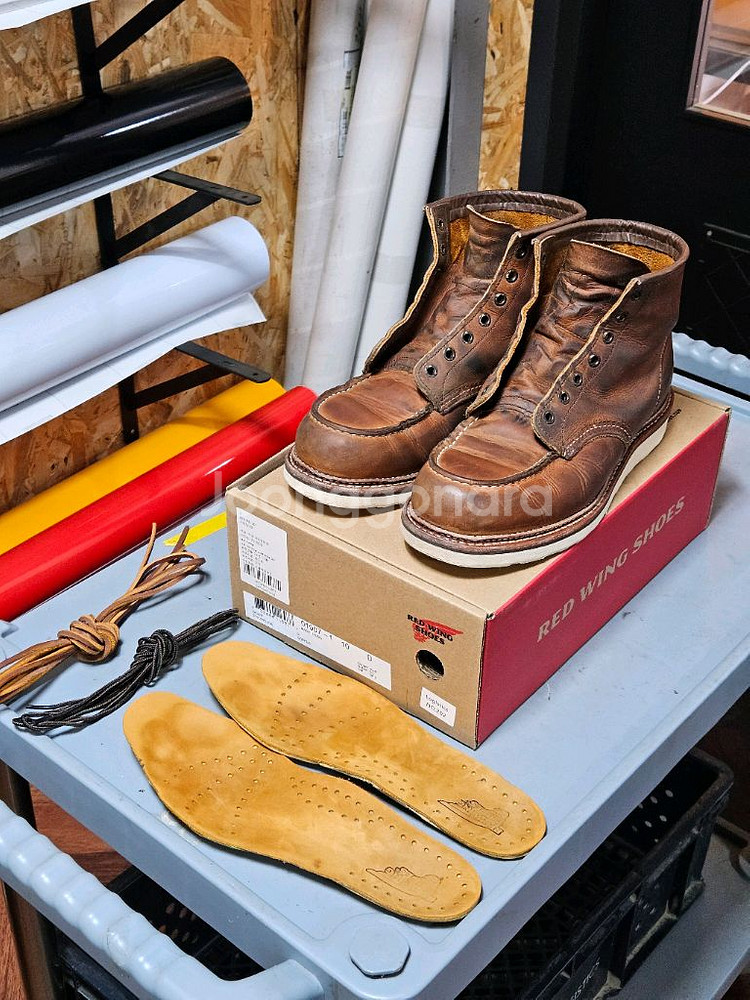 280)레드윙 목토 1907 10d--0