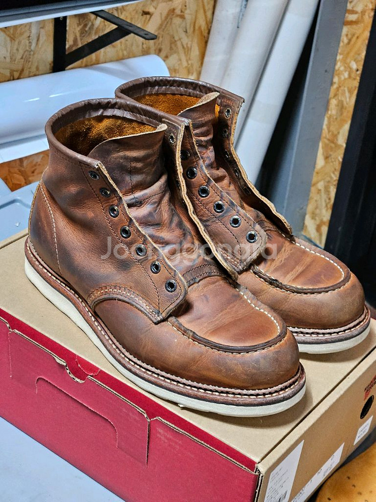 280)레드윙 목토 1907 10d--2