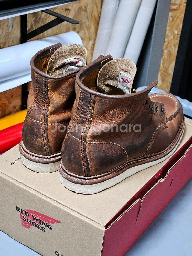 280)레드윙 목토 1907 10d--3