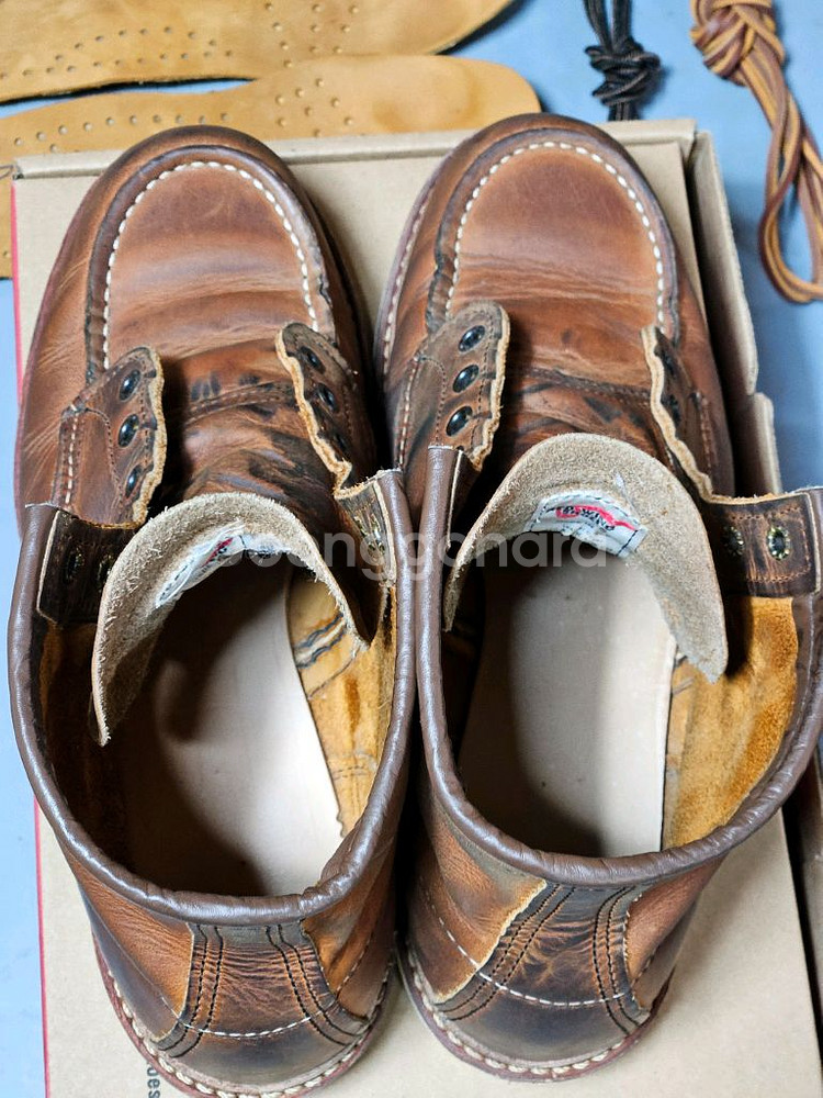 280)레드윙 목토 1907 10d--5