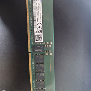 SAMSUNG DDR5 EC8 RDIMM 32GB
