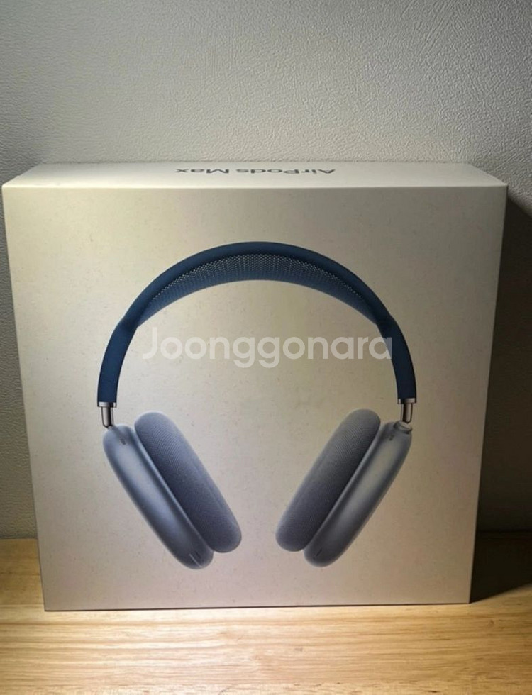 에어팟맥스 스카이블루--2