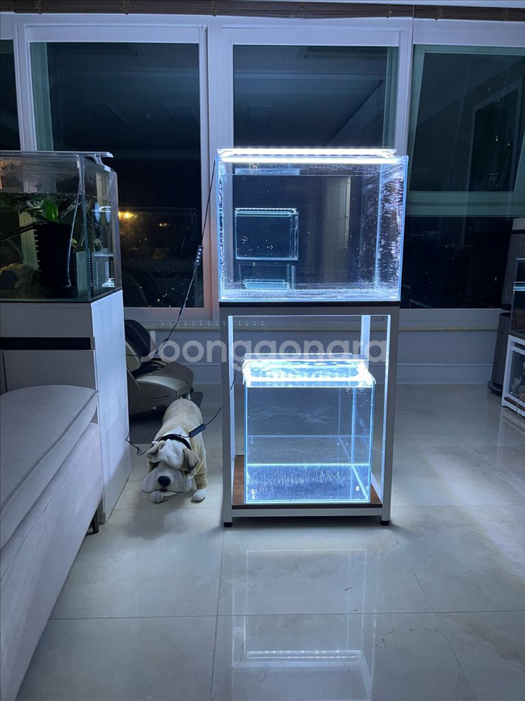 (경기 북부) 프리미엄 45큐브, 2자 광폭 어항 올디--0