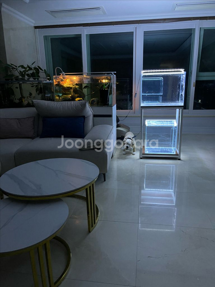 (경기 북부) 프리미엄 45큐브, 2자 광폭 어항 올디--6