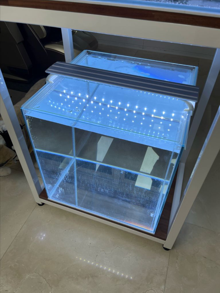 (경기 북부) 프리미엄 45큐브, 2자 광폭 어항 올디--6