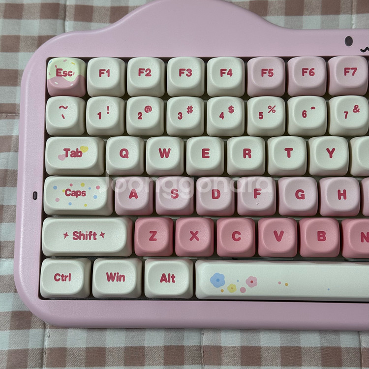 Yunzii C75 유무선 기계식 키보드 윤지 고양이--2