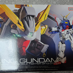 RG 샤이닝 건담 건프라 프라모델