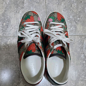 구찌 스트로베리 스니커즈 36