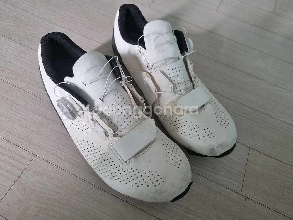 자이언트서지콤프 클릿슈즈 258mm--0