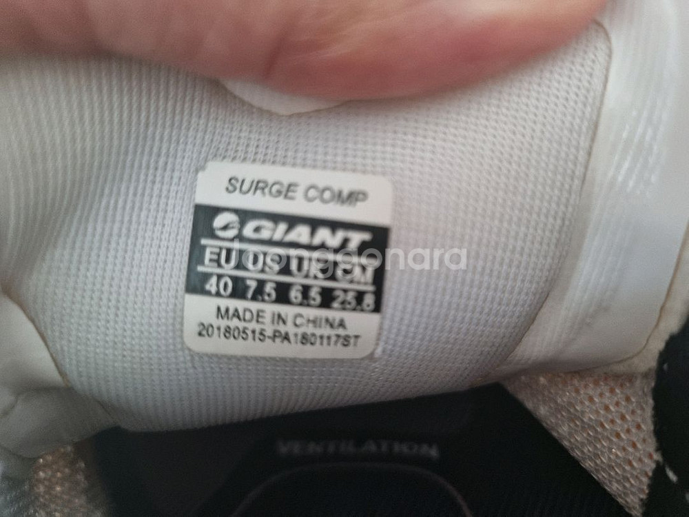 자이언트서지콤프 클릿슈즈 258mm--1