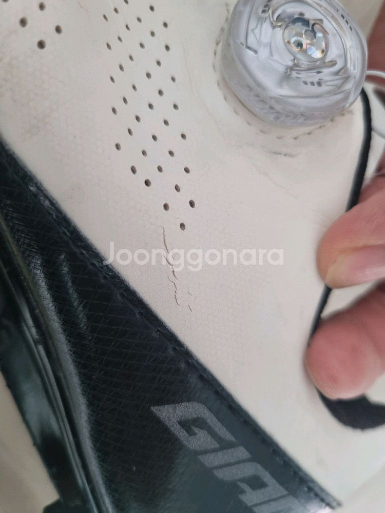 자이언트서지콤프 클릿슈즈 258mm--5