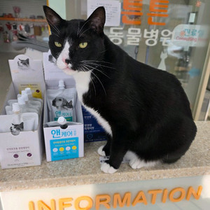 스타벅스 별 8개 리워드