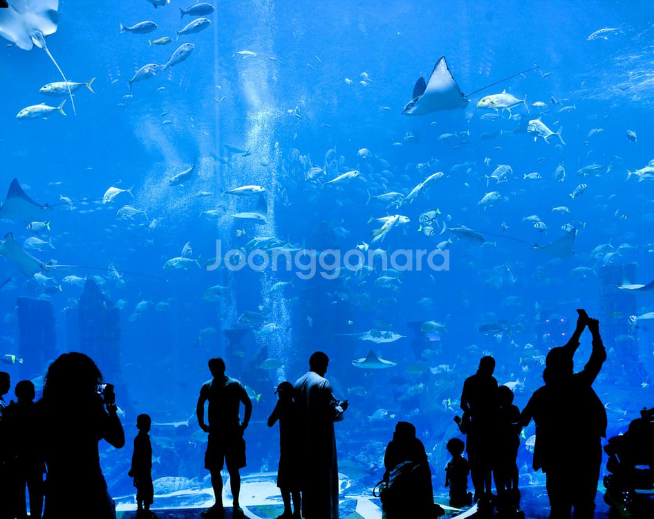 롯데월드 아쿠아리움--0