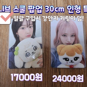 미니브 스쿨 팝업 30cm 인형 특전 안유진 리즈 포카