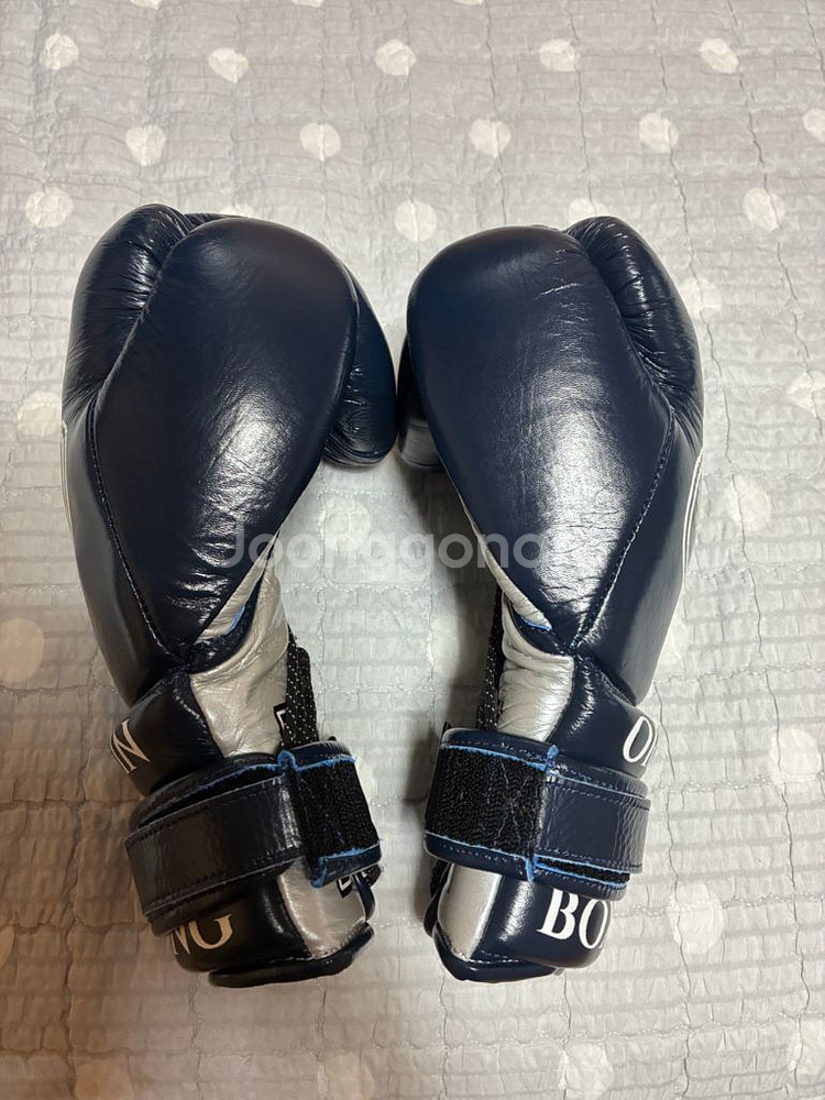 오리진 O-5 말총 10온스 글러브 복싱 레이스--1