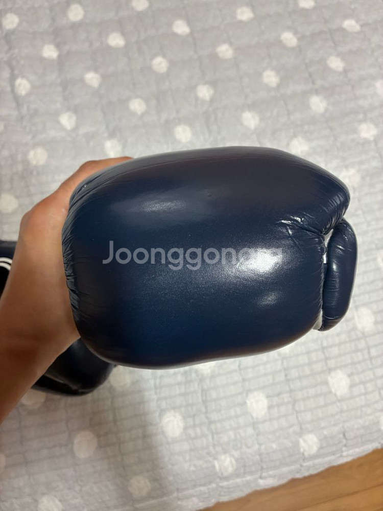 오리진 O-5 말총 10온스 글러브 복싱 레이스--4