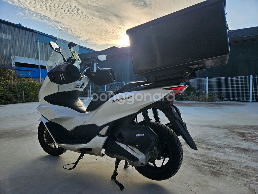 혼다PCX125/24년식/2만키로/260만원/배달세팅--5