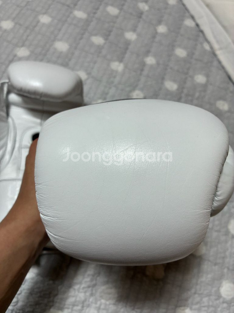 프라이즈링 프로페셔널 ss 8온스--6