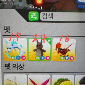 입양하세요 펫 메가네온 레전더리 팝니다