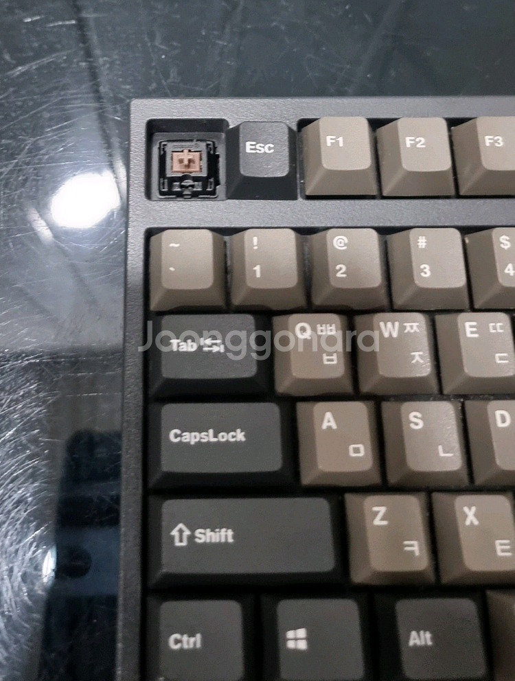 기계식 키보드 갈축 레오폴드 FC900R KDPD 그--2