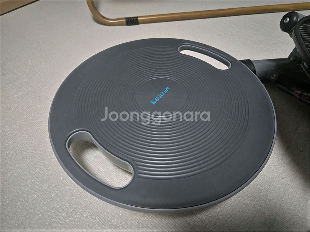 이고진 스탭퍼 + 밸런스보드 일괄 팝니다.--2