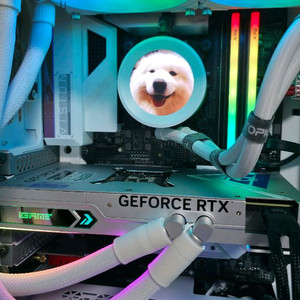 긱바 z490 비전 g화이트. i9 10900k 팝니다