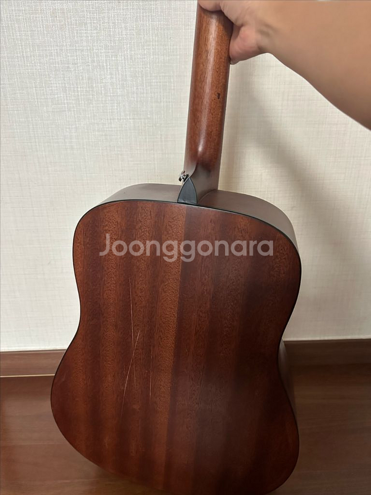 고퍼우드 기타--1