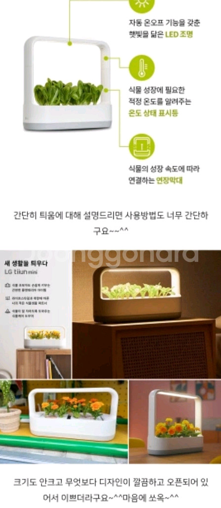 LG 틔운 미니 L011W1(미개봉)--1